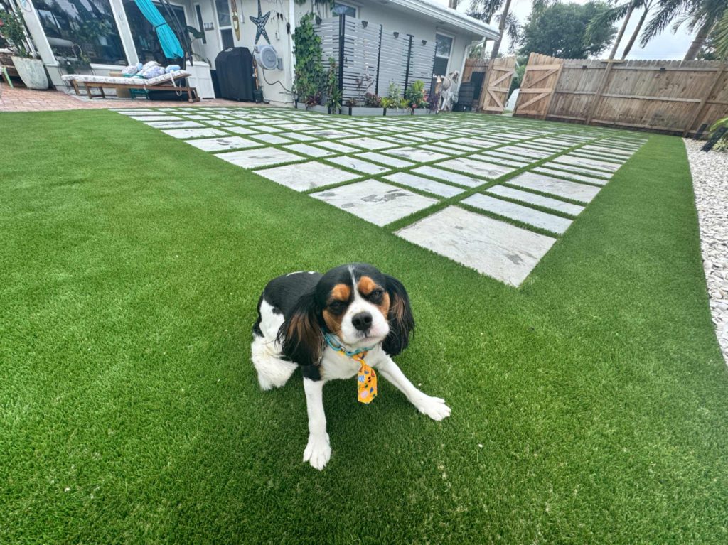 artificial-turf-cleaning-company-for-pet-friendly