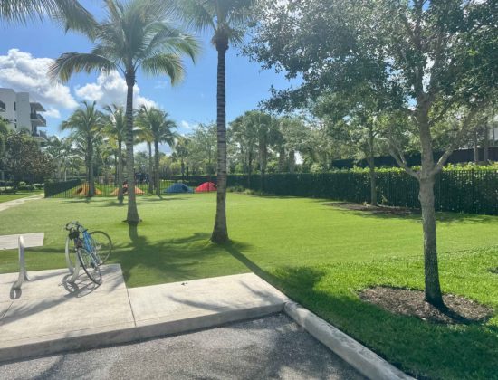 lake-worth-artificial-turf-cleaner