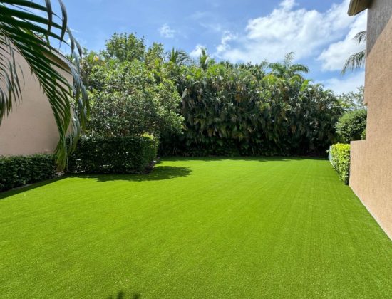 lake-worth-how-to-clean-artificial-grass