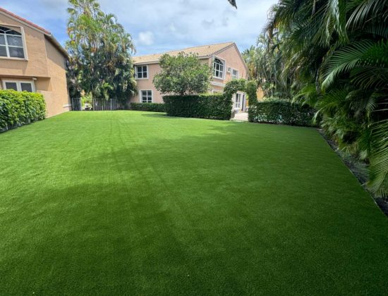 lake-worth-synthetic-grass-cleaner