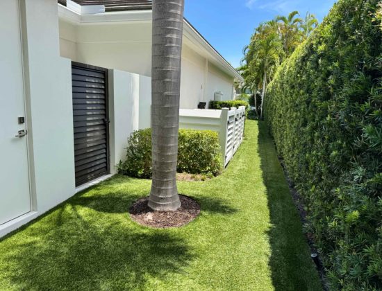 turf-cleaning-services-in-lake-worth