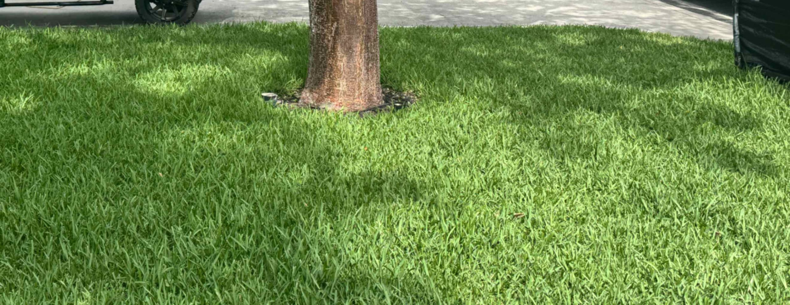 synthetic-turf-cleaning-lake-worth